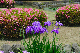 image0184