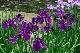 image0186