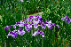 image0187