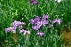 image0188