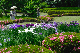 image0190