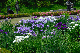 image0191