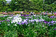 image0193