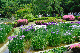 image0195