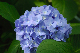 image0196
