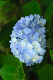 image0197