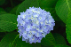 image0198