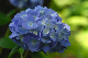 image0199