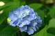 image0200