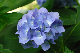 image0201
