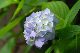 image0202