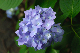 image0203