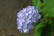 image0204