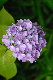 image0206