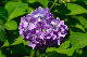 image0208