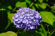 image0210