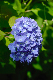 image0211