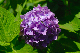 image0212
