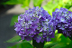 image0213