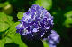 image0214
