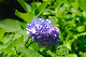 image0215
