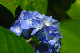 image0216