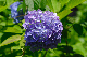 image0217