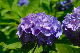 image0219