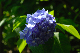 image0221