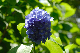 image0222