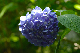image0223