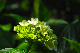 image0224