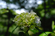 image0225