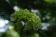 image0226