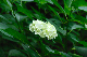 image0227