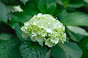 image0228