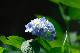 image0229