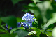 image0230