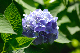image0231