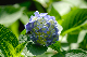 image0232