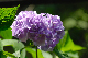 image0233
