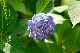 image0234