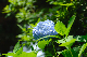 image0235
