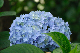image0236