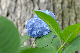 image0237
