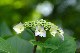 image0238