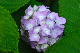 image0242