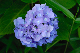 image0243