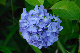 image0244