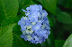 image0245